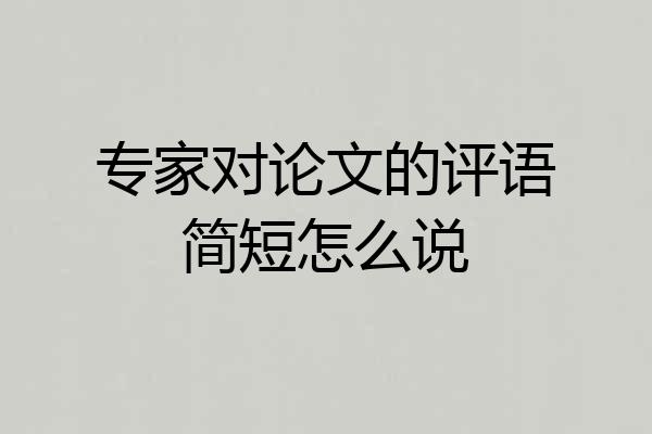 专家对论文的评语简短怎么说