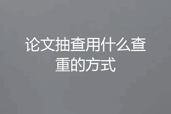 论文抽查用什么查重的方式
