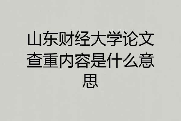 山东财经大学论文查重内容是什么意思