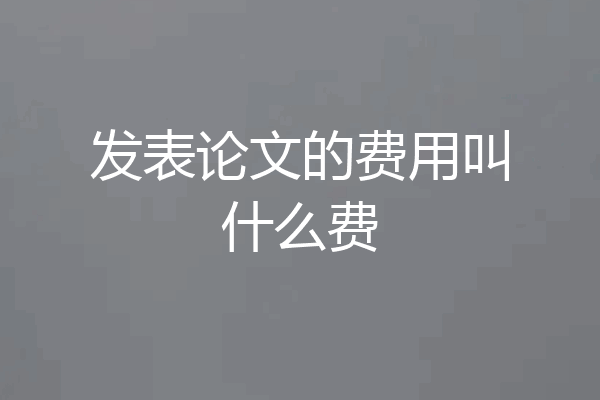 发表论文的费用叫什么费