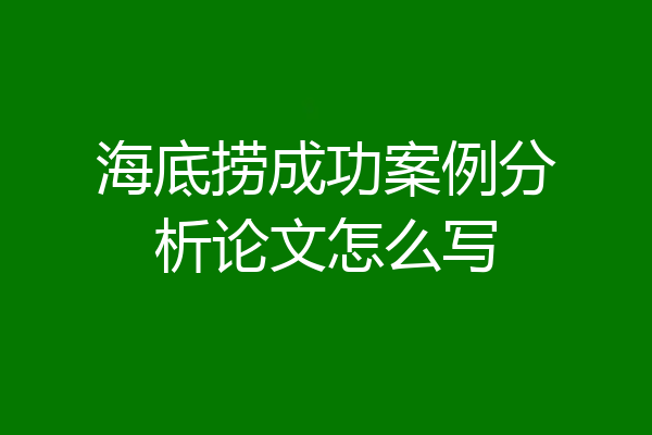 海底捞成功案例分析论文怎么写