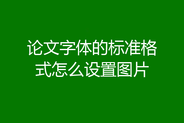 论文字体的标准格式怎么设置图片