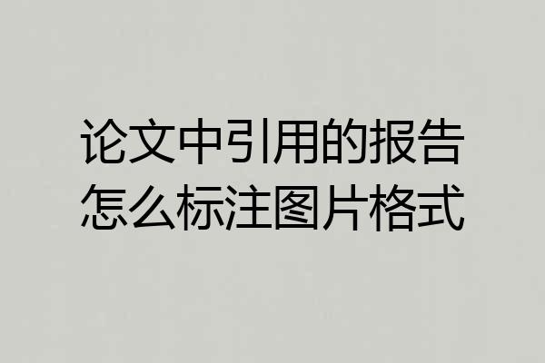 论文中引用的报告怎么标注图片格式