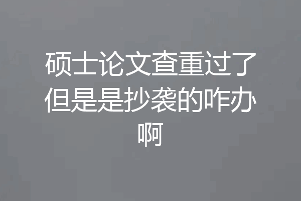 硕士论文查重过了但是是抄袭的咋办啊