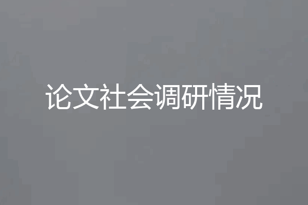 论文社会调研情况