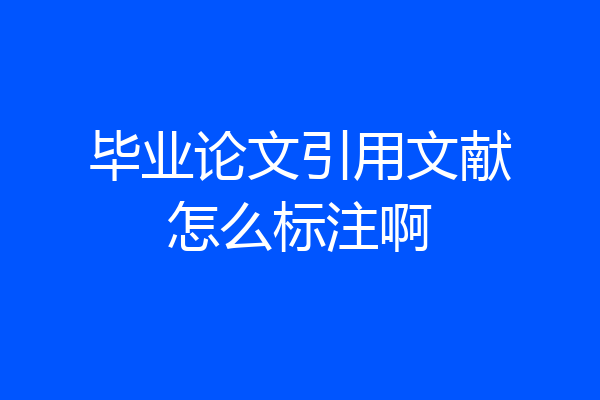毕业论文引用文献怎么标注啊