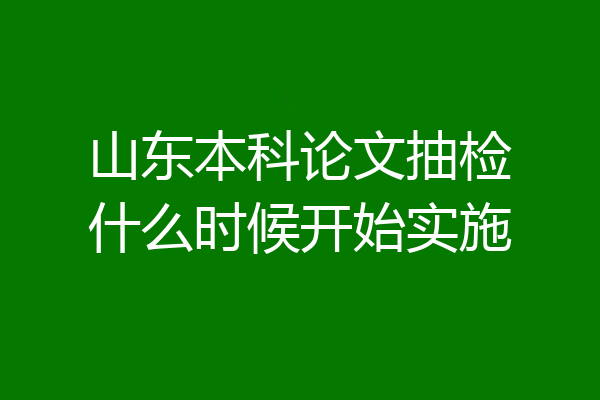 山东本科论文抽检什么时候开始实施