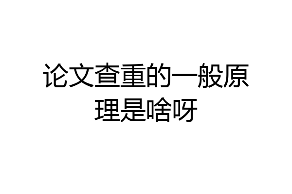 论文查重的一般原理是啥呀
