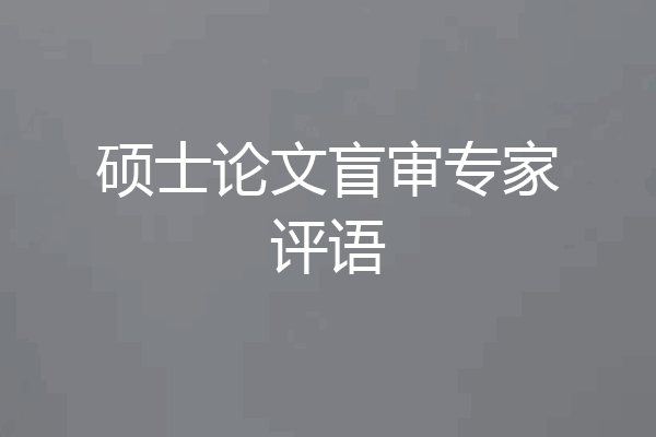 硕士论文盲审专家评语