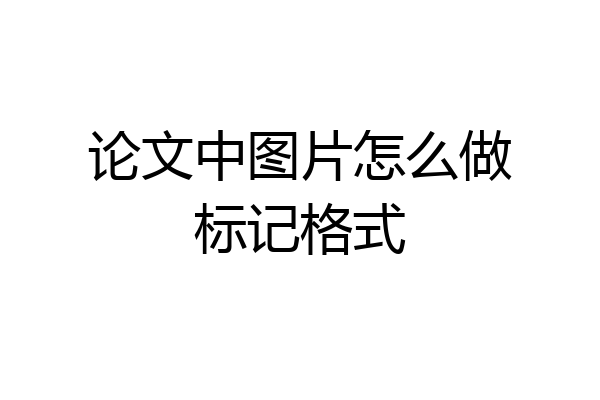 论文中图片怎么做标记格式
