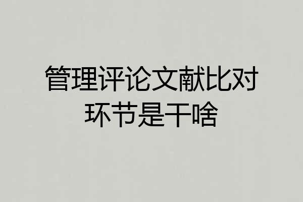 管理评论文献比对环节是干啥