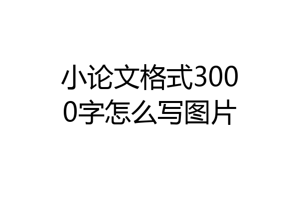 小论文格式3000字怎么写图片