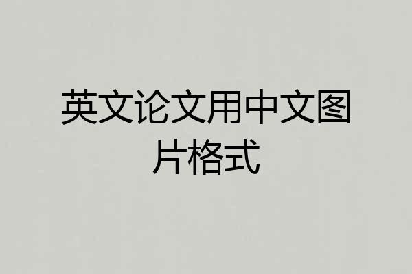英文论文用中文图片格式