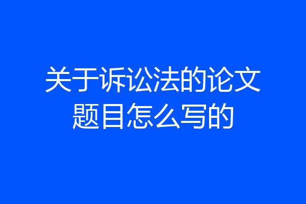 关于诉讼法的论文题目怎么写的