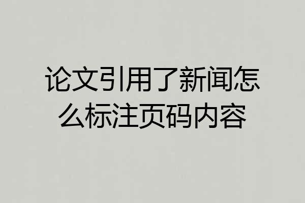 论文引用了新闻怎么标注页码内容