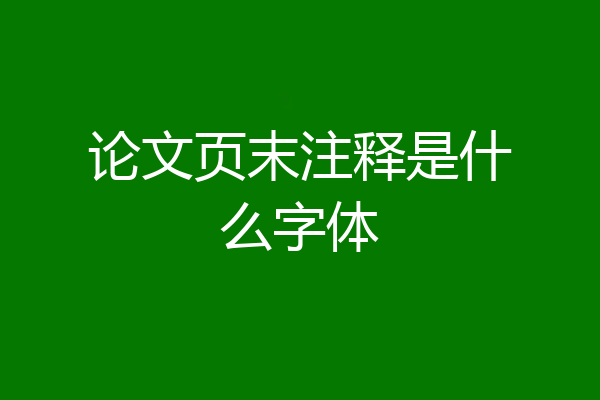 论文页末注释是什么字体