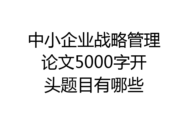 中小企业战略管理论文5000字开头题目有哪些