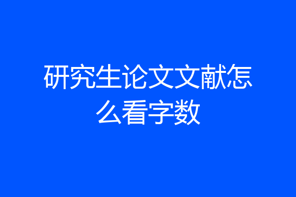 研究生论文文献怎么看字数