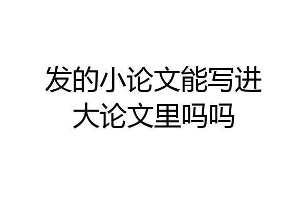 发的小论文能写进大论文里吗吗