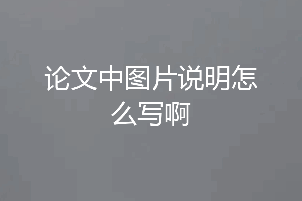 论文中图片说明怎么写啊