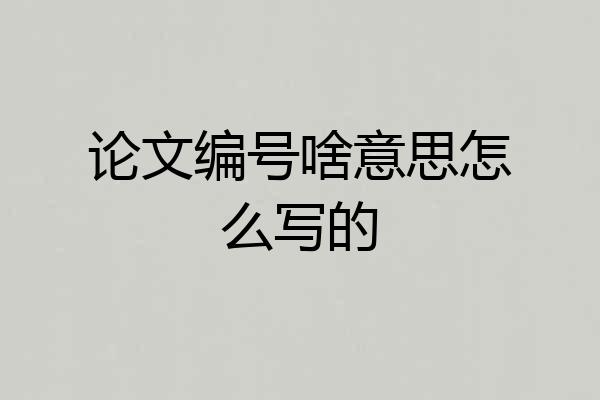 论文编号啥意思怎么写的