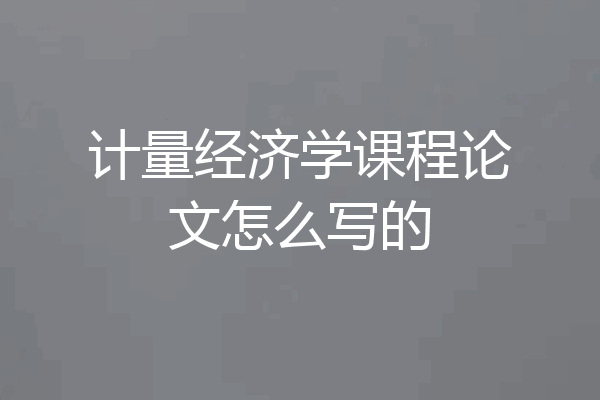 计量经济学课程论文怎么写的
