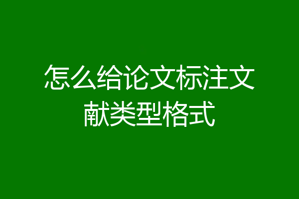 怎么给论文标注文献类型格式