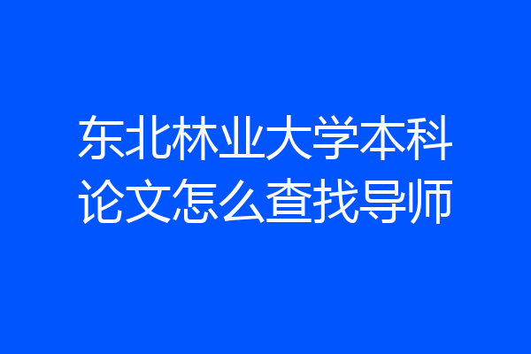 东北林业大学本科论文怎么查找导师
