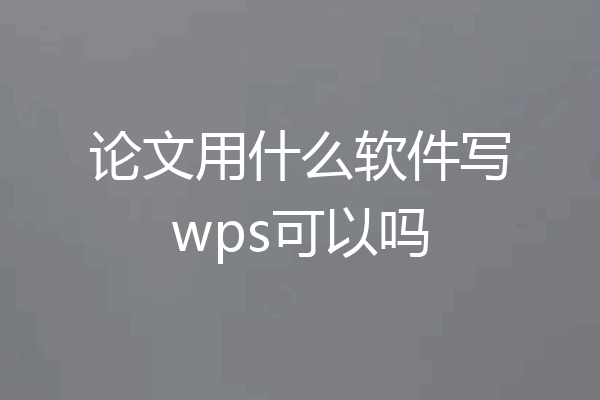 论文用什么软件写wps可以吗