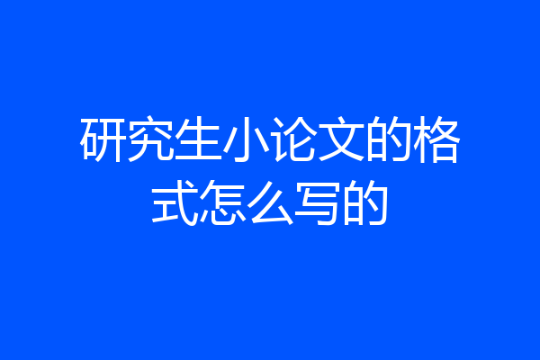 研究生小论文的格式怎么写的