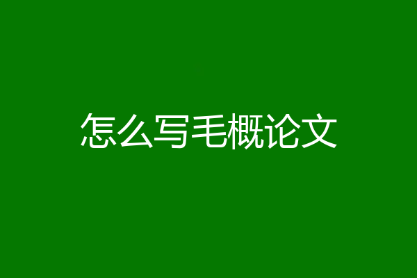 怎么写毛概论文
