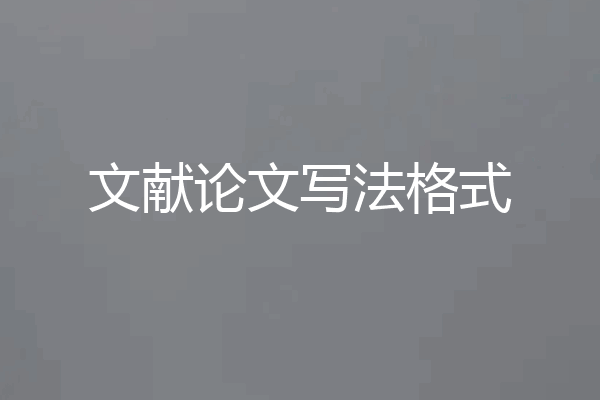 文献论文写法格式
