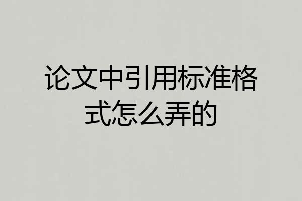 论文中引用标准格式怎么弄的
