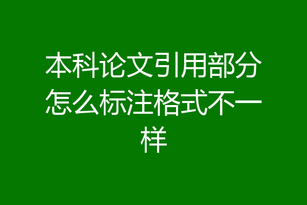 本科论文引用部分怎么标注格式不一样