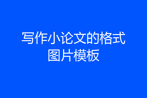 写作小论文的格式图片模板