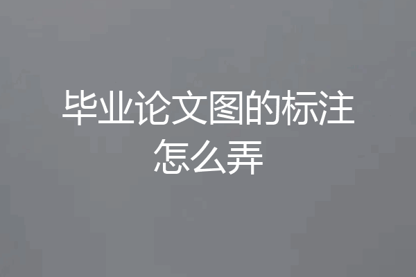 毕业论文图的标注怎么弄