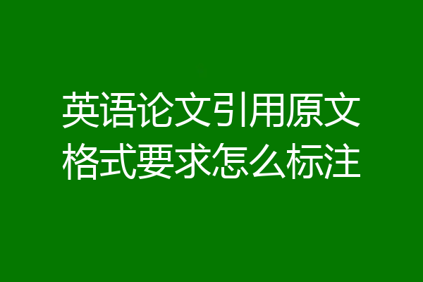 英语论文引用原文格式要求怎么标注