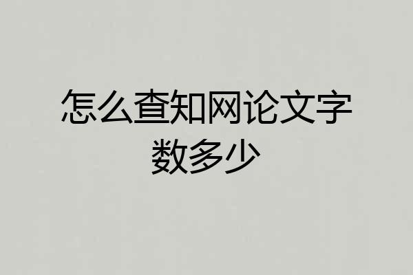 怎么查知网论文字数多少