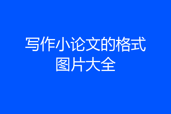 写作小论文的格式图片大全