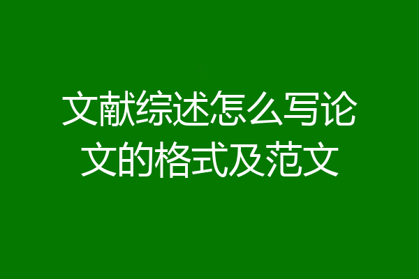 文献综述怎么写论文的格式及范文