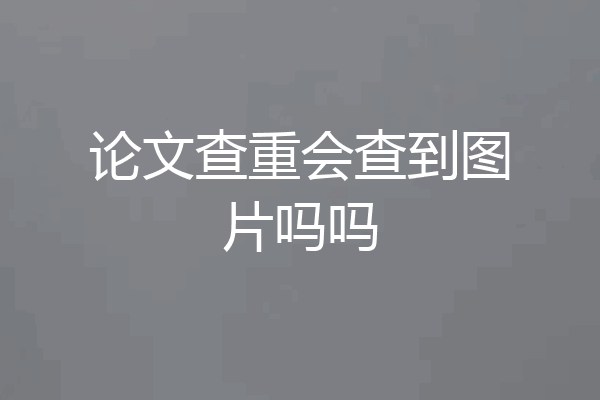论文查重会查到图片吗吗