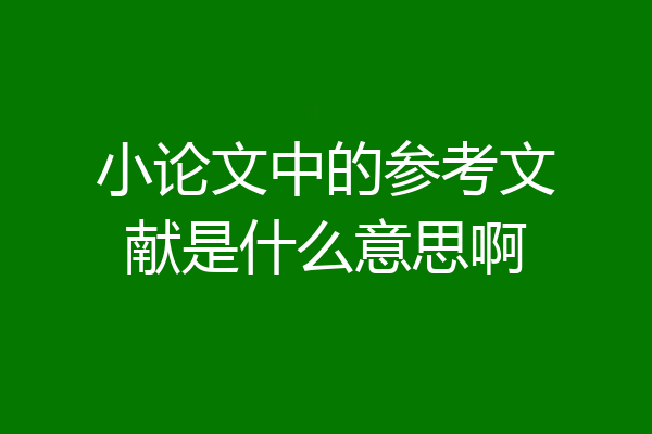 小论文中的参考文献是什么意思啊