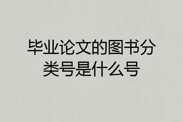 毕业论文的图书分类号是什么号