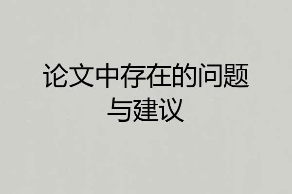 论文中存在的问题与建议