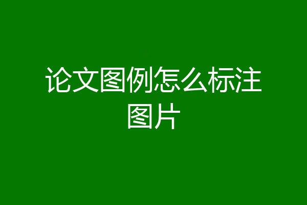 论文图例怎么标注图片