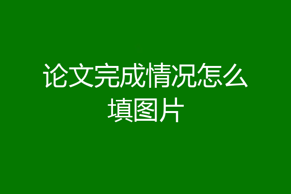 论文完成情况怎么填图片