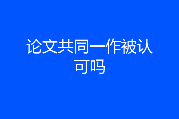 论文共同一作被认可吗