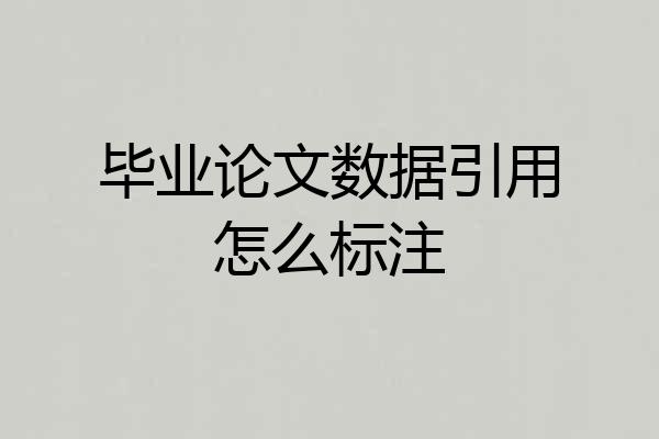 毕业论文数据引用怎么标注
