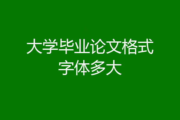 大学毕业论文格式字体多大