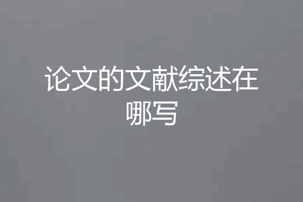 论文的文献综述在哪写